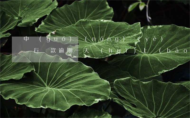 中國(guó)農(nóng)業(yè)銀行貸款逾期一天會(huì)上報(bào)征信嗎-中國(guó)農(nóng)業(yè)銀行貸款逾期一天會(huì)上報(bào)征信嗎