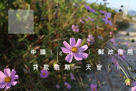 中國(guó)郵政信用貸款逾期一天(郵政貸款逾期一天會(huì)不會(huì)上征信)