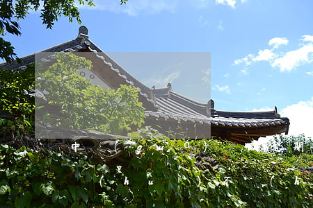 中國(guó)郵政逾期一次 郵政逾期一天會(huì)不會(huì)上征信