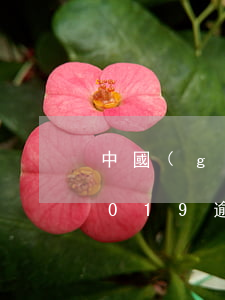 中國(guó)銀聯(lián)信用卡2019逾期統(tǒng)計(jì)-中國(guó)銀聯(lián)2021