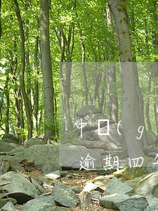 中國(guó)銀行信用卡兩萬(wàn)逾期四年-兩年十幾次信用卡逾期