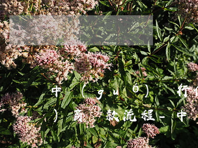 中國(guó)銀行信用卡怎么協(xié)商還款流程-中國(guó)銀行信用卡怎么協(xié)商還款流程圖