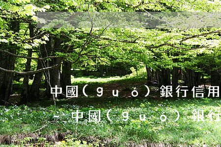 中國(guó)銀行信用卡逾期一天多少錢-中國(guó)銀行信用卡逾期一天多少錢利息
