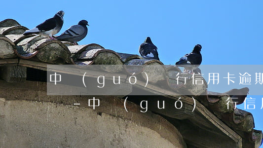 中國(guó)銀行信用卡逾期上征信怎么辦-中國(guó)銀行信用卡逾期上征信怎么辦啊
