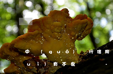 中國(guó)銀行信用卡逾期兩天會(huì)有不良記錄嗎-中國(guó)銀行信用卡逾期兩天會(huì)有不良記錄嗎