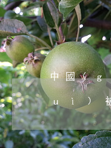 中國(guó)銀行信用卡逾期兩年會(huì)被起訴嗎-中國(guó)銀行信用卡逾期兩年會(huì)被起訴嗎知乎