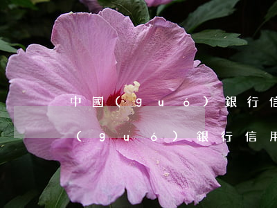 中國(guó)銀行信用卡逾期半年了(中國(guó)銀行信用卡逾期半年了,會(huì)起訴么)