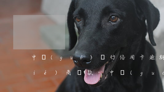 中國(guó)銀行信用卡逾期可以協(xié)商還款-中國(guó)銀行信用卡逾期可以協(xié)商還款嗎