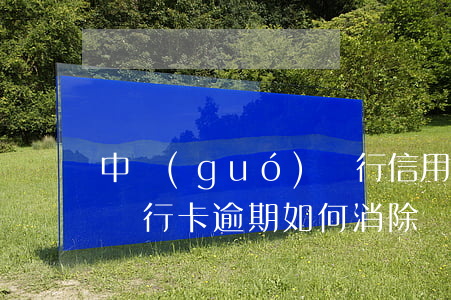 中國(guó)銀行信用卡逾期后怎么解除(銀行卡逾期如何消除)