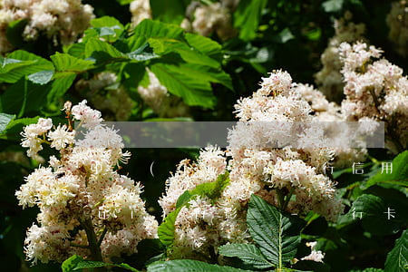 中國(guó)銀行信用卡逾期多久會(huì)有影響-銀行卡逾期多久會(huì)影響征信