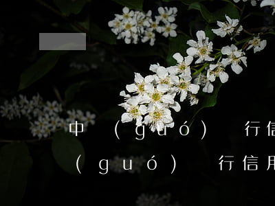 中國(guó)銀行信用卡逾期多少天(中國(guó)銀行信用卡逾期多少天會(huì)降額)