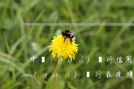 中國(guó)銀行信用卡逾期案例-中國(guó)銀行在疫情期間信用卡逾期會(huì)怎么樣