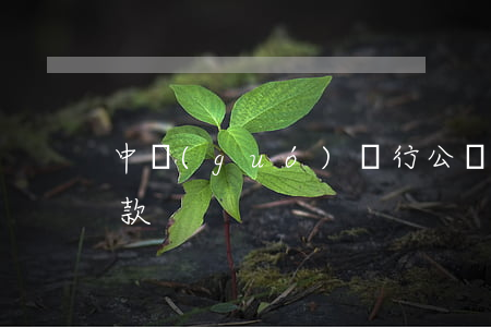中國(guó)銀行公務(wù)卡逾期還款