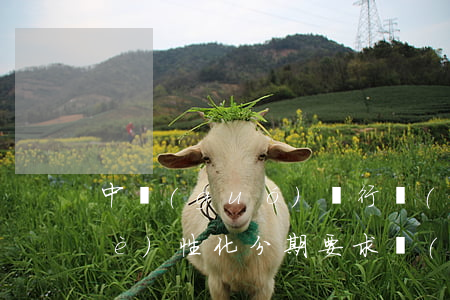 中國(guó)銀行協(xié)商個(gè)性化分期要求開(kāi)各種證明-中國(guó)銀行協(xié)商個(gè)性化分期要求開(kāi)各種證明