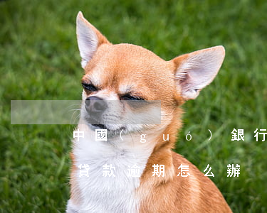 中國(guó)銀行房貸逾期怎么還(銀行房貸款逾期怎么辦)