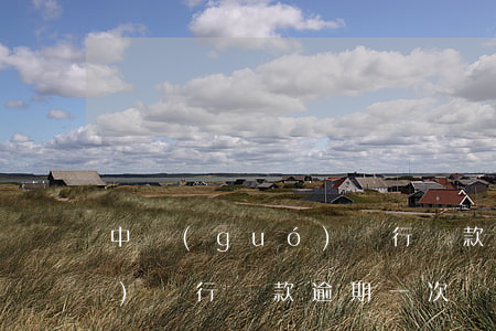 中國(guó)銀行貸款逾期次數(shù)(銀行貸款逾期一次)