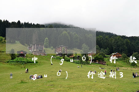 中國(guó)銀行貸款逾期被起訴(中國(guó)銀行逾期3個(gè)月是不是真的會(huì)起訴)
