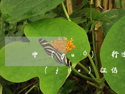 中國(guó)銀行逾期2天會(huì)進(jìn)征信記錄嗎-中國(guó)銀行逾期2天會(huì)進(jìn)征信記錄嗎怎么辦