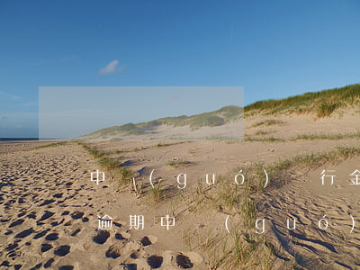 中國(guó)銀行金卡網(wǎng)貸逾期(中國(guó)銀行金卡網(wǎng)貸逾期)