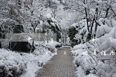 中國(guó)銀行長(zhǎng)城環(huán)球通信用卡逾期(中國(guó)銀行長(zhǎng)城信用卡有效期幾年)