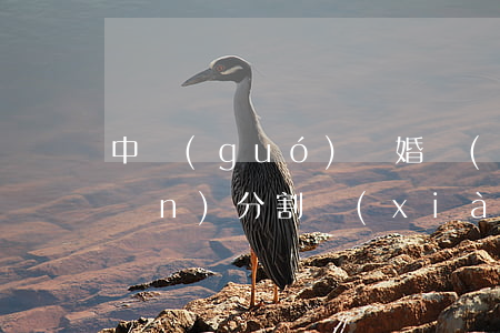 中國(guó)離婚財(cái)產(chǎn)分割現(xiàn)狀(我國(guó)離婚現(xiàn)狀)
