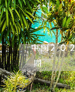中國2022多少人逾期 全中國有多少人逾期