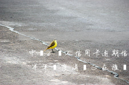 中國6億人信用卡逾期(信用卡797億逾期半年過度消費正在摧毀年輕人的生活)