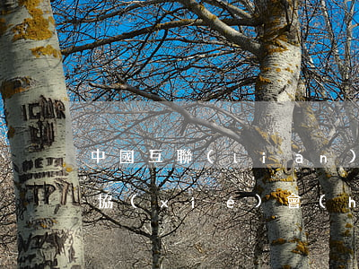 中國互聯(lián)網(wǎng)金融協(xié)會(huì)發(fā)布催收自律公約(附全文)