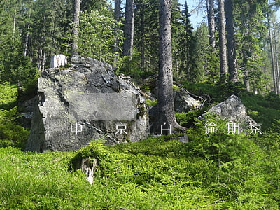 中國京東白條逾期(京東白條逾期咋辦)