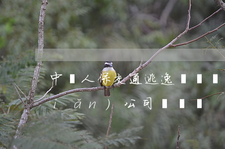 中國人保交通逃逸賠償嗎(交通逃逸保險(xiǎn)公司賠償嗎?)