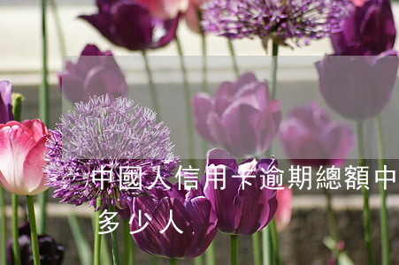 中國人信用卡逾期總額(中國人信用卡逾期有多少人)