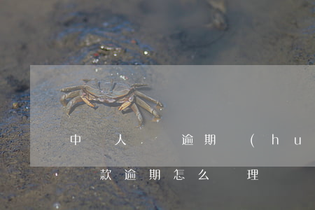 中國人壽貸逾期會(huì)起訴嗎-人壽貸款逾期怎么辦理