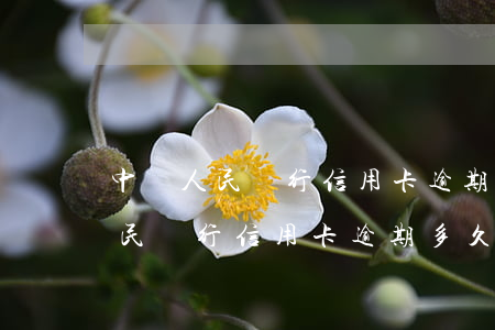 中國人民銀行信用卡逾期多久會有-中國人民銀行信用卡逾期多久會有記錄