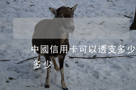 中國信用卡可以透支多少(信用卡一般能透支多少)