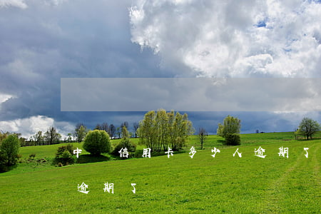中國信用卡多少人逾期了(中國信用卡多少人逾期了)