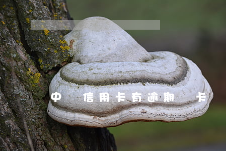 中國信用卡有逾期銷卡(當前逾期辦信用卡)