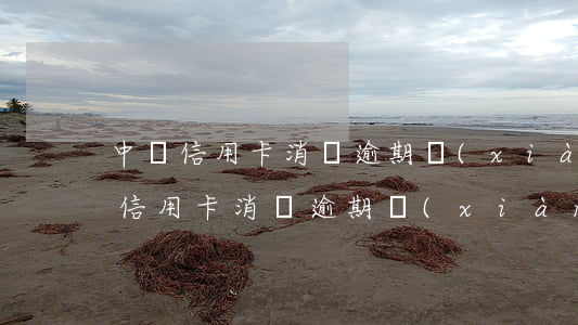 中國信用卡消費逾期現(xiàn)狀(中國信用卡消費逾期現(xiàn)狀分析)