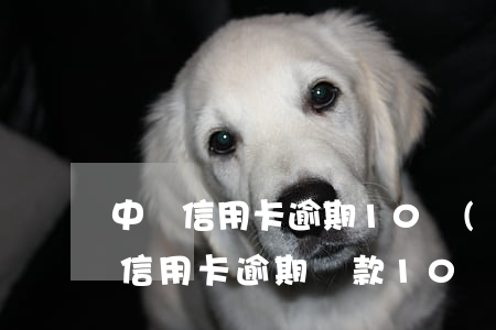 中國信用卡逾期10個(gè)月-一年前信用卡逾期貸款10個(gè)月有影響
