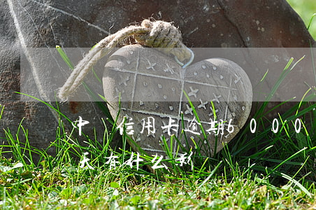 中國信用卡逾期6000(中國信用卡逾期一天有什么影響)