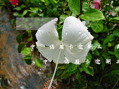 中國信用卡逾期三個月要多久才能恢復正常-中國信用卡逾期三個月要多久才能恢復正常使用