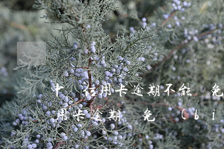 中國信用卡逾期不能減免利息(2020年信用卡逾期減免標(biāo)準(zhǔn))