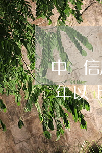 中國信用卡逾期多不多(全中國信用卡逾期半年以上的太多了,國家該昨個(gè)辦)