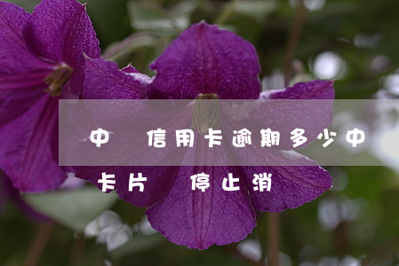 中國信用卡逾期多少 中國信用卡逾期多少天卡片會停止消費