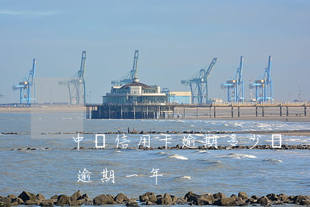 中國信用卡逾期多少張-10張信用卡全部逾期一年