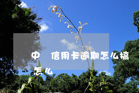 中國信用卡逾期怎么搞(國外的信用卡逾期了怎么辦)
