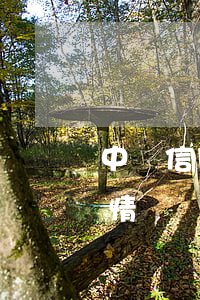中國信用卡逾期現狀(2020年信用卡逾期情況)