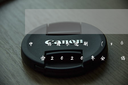 中國信用卡逾期統(tǒng)計(jì)資金 2020年全國信用卡逾期總金額