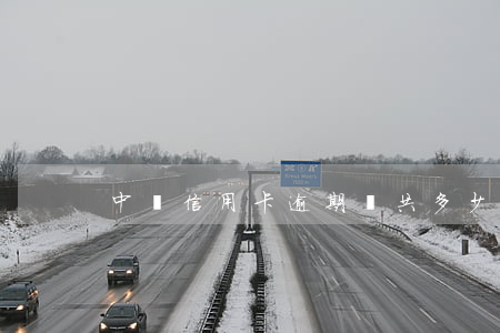 中國信用卡逾期總共多少人