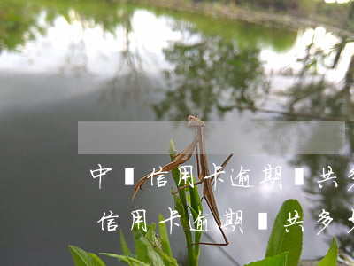 中國信用卡逾期總共多少人2021-中國信用卡逾期總共多少人2023