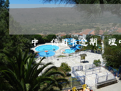 中國信用卡逾期處理(中國人信用卡逾期)